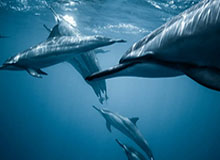 美媒晒詹皇18岁-41岁数据变化：以不变应万变！场均20+6竟是下限